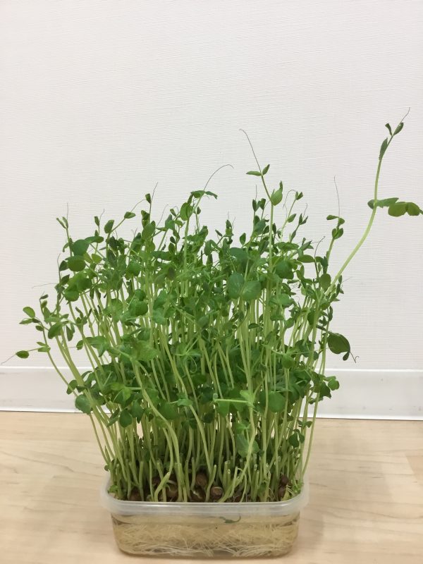 室内遊びいろいろ🤗