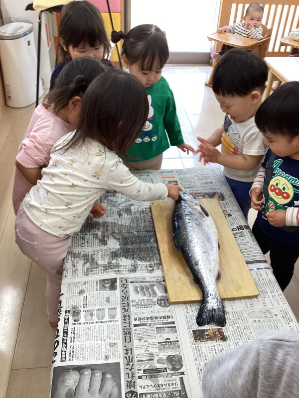 🎣今年も銀鮭集会をしました😆