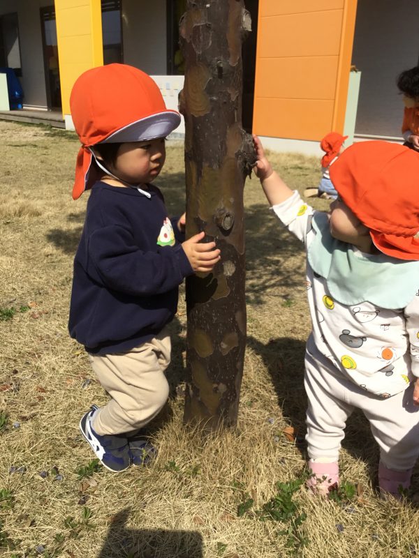 🌸保育園での子どもたち😊🌸〜⭐️1日の流れを見てみよう⭐️〜