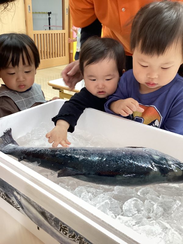 ✨お楽しみがいっぱい💖〜銀鮭集会&歓迎会〜