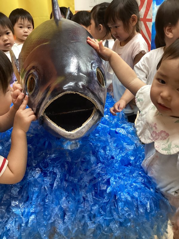 🐟大きなマグロにびっくり‼️〜マグロ集会〜