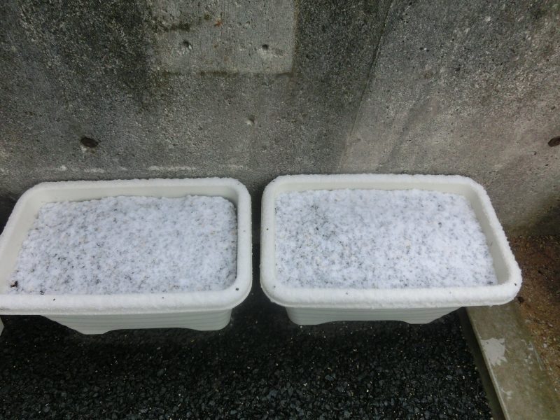 ☆雪の寒さに負けないぞ☆