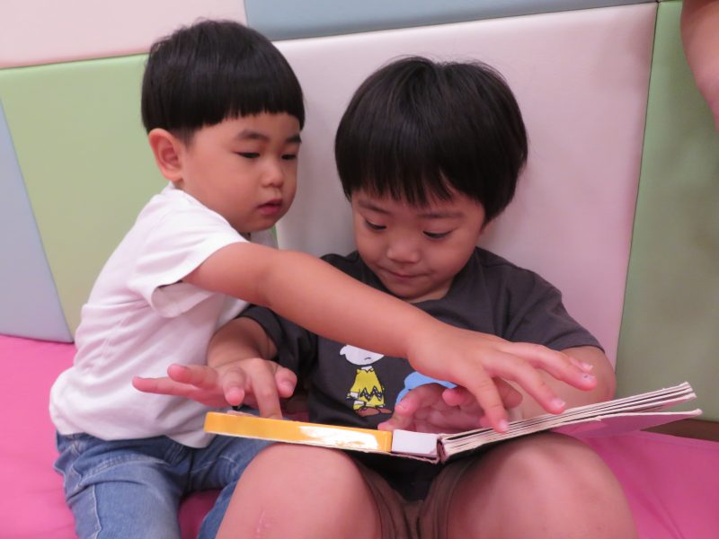 大きくなったオクラ✨