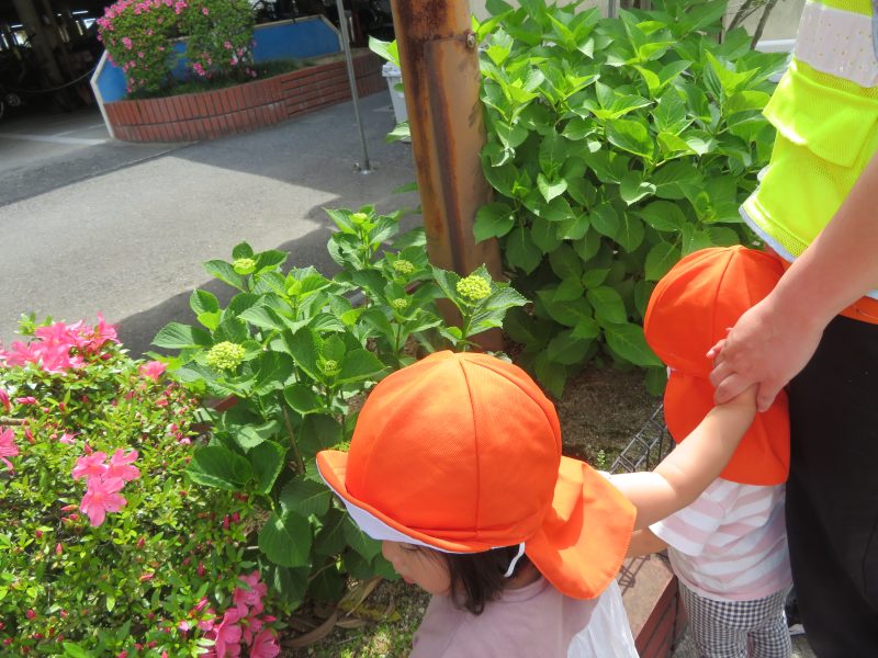 ?梅雨の製作と体操の様子?