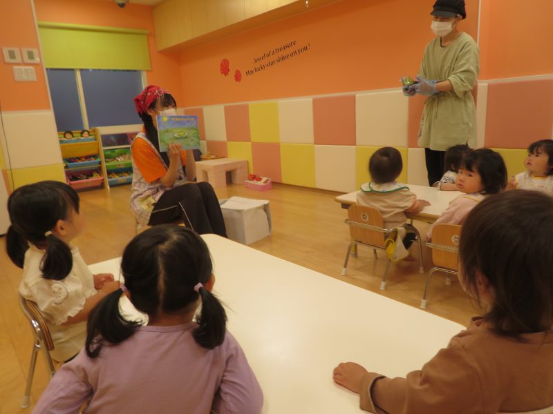 ✨うすい豆さわったよ✨