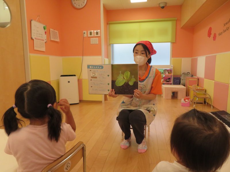 ✨小松菜触ったよ✨