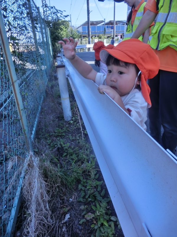 ✨新入園児さん✨