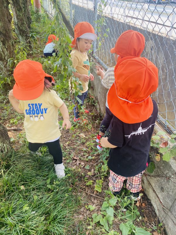 お外だぁーいすき☀️🍂