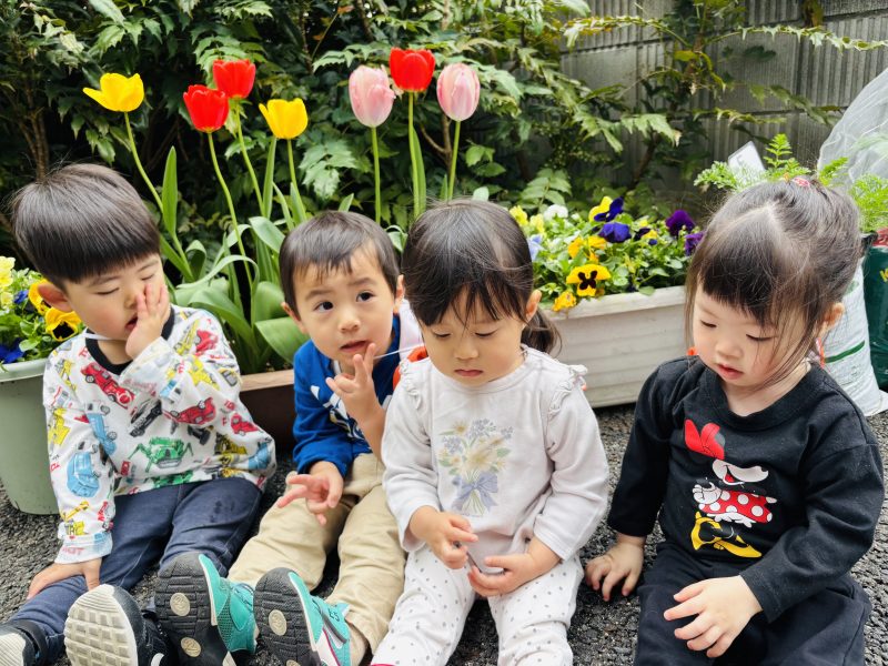 🌷園ブログ🍽️