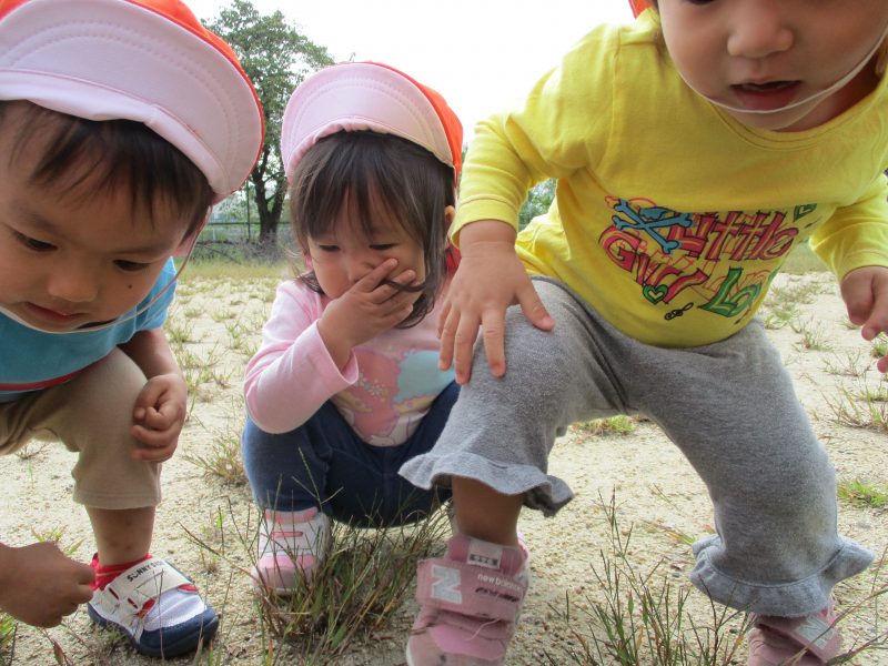 5月27日(水)の給食