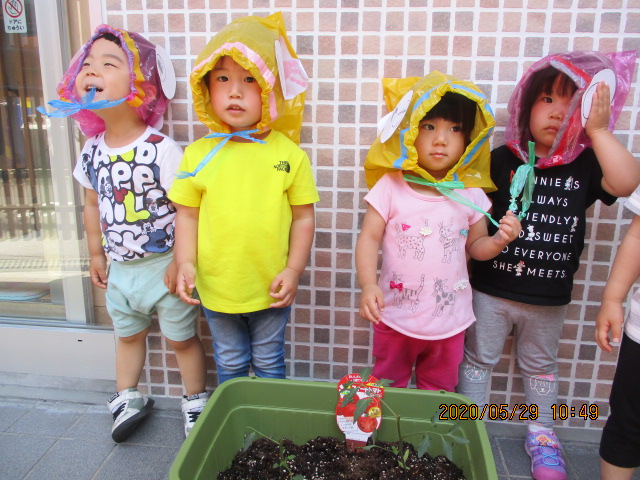 6月に入りました?