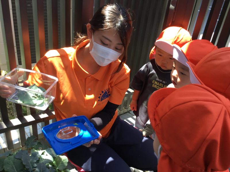 りんご組の一日?