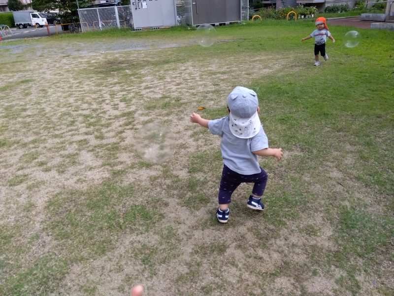 🍁お散歩の季節がやってきました🍁