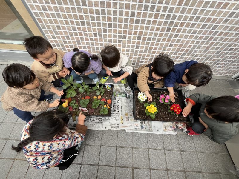 りんご組🍎植栽