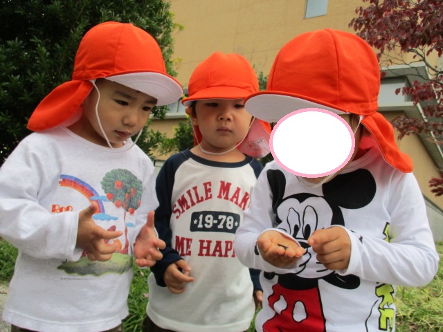 8月12日(水)の給食