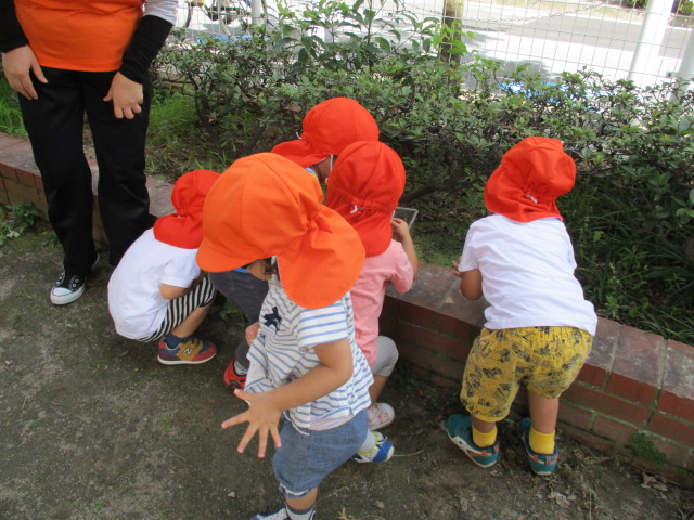 ?絵本読み聞かせプログラム?