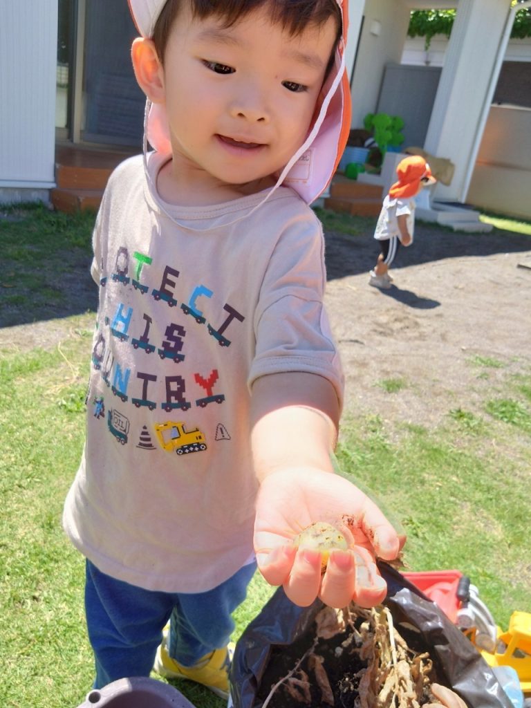 じゃがいもを収穫！