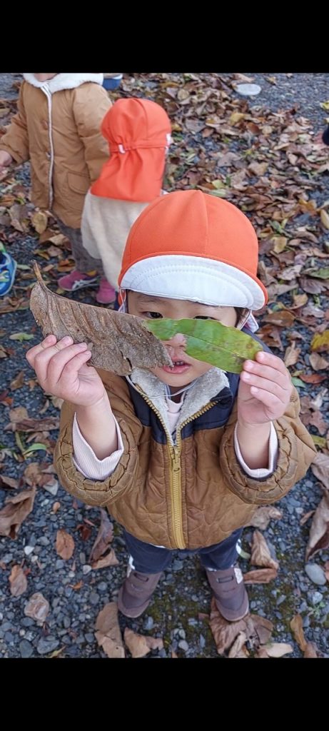 枯葉のプール🍂