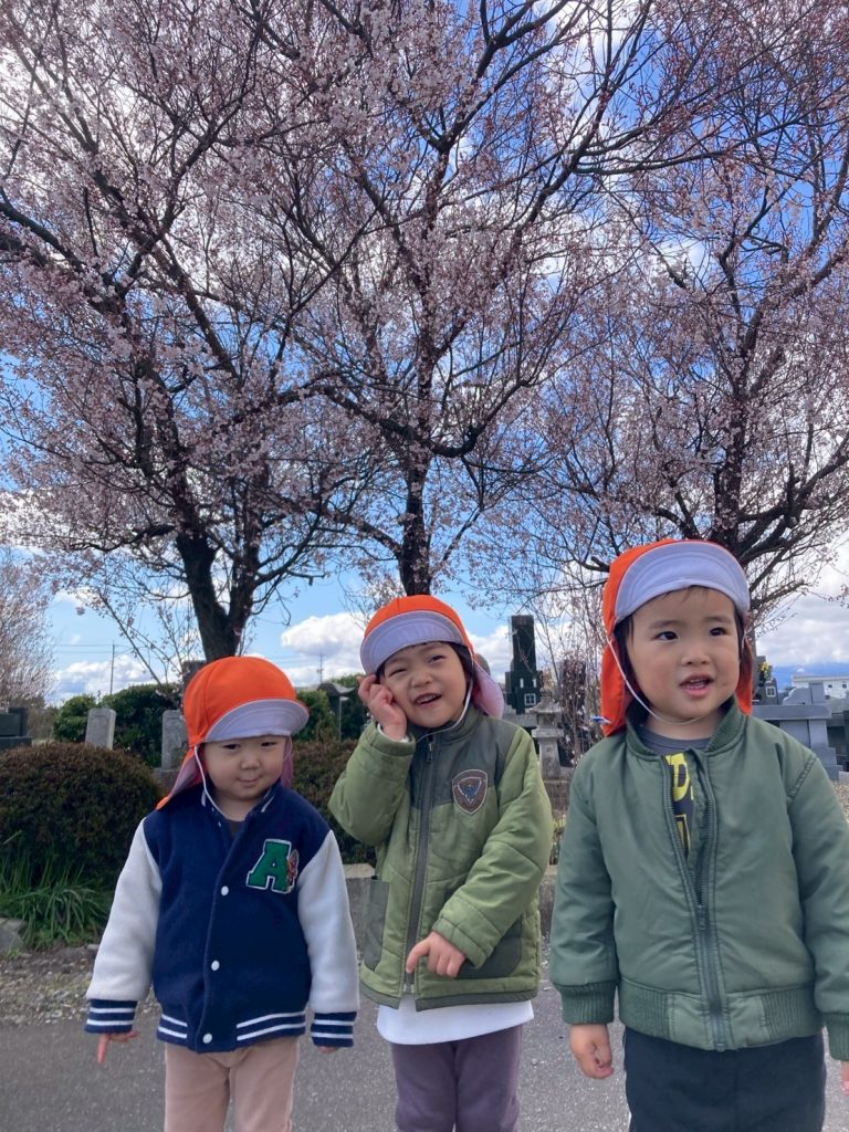 新年度が始まりました🌸