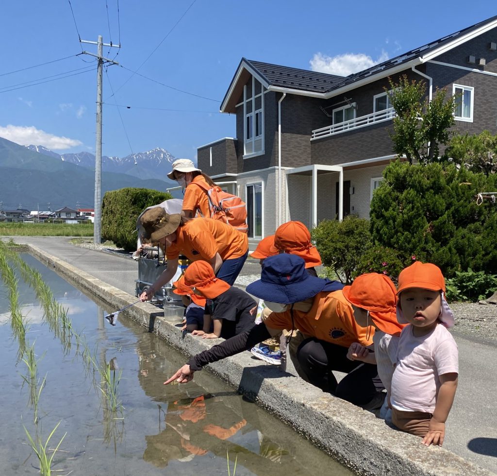 オタマジャクシを捕まえたよ