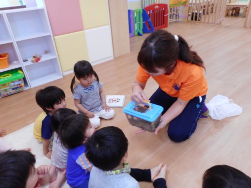 めだかとおともだち