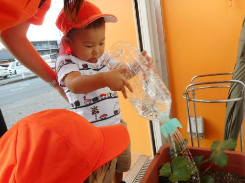 7月31日(金)の給食