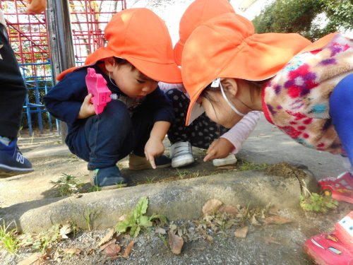 【小規模：津田沼園】たくさんお外で遊んだよ♪
