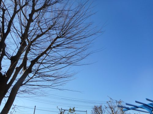 【小規模：津田沼園】今週はみんなで消防署に行ったよ！