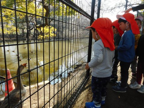 【小規模：津田沼園】今週は水鳥公園に行きました♪