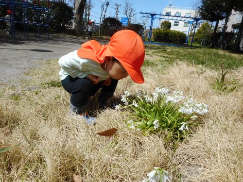 【小規模：津田沼園】今週は、たくさんお外で遊びました♪