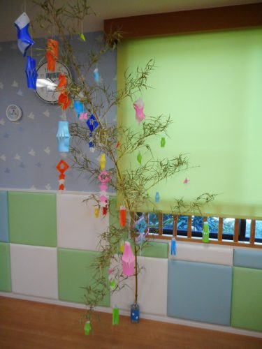 【小規模：津田沼園】今週は、園に笹が届いたよ♪