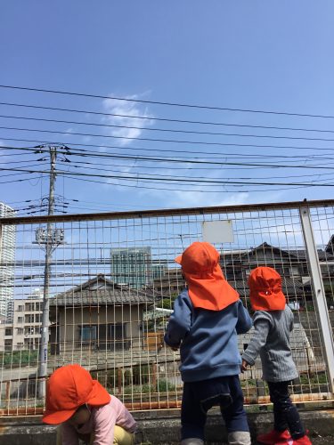 今週の津田沼園の子どもたち♪