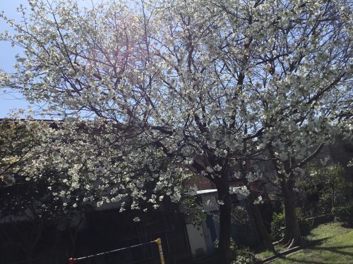 卒園式＆絵本の読み聞かせ?