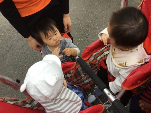 ５月になりました?