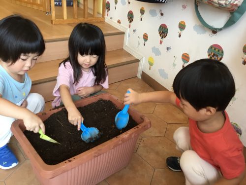水遊び＆お花の植え替え?