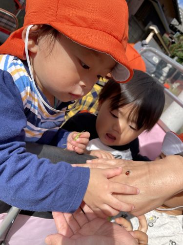 いろいろな発見?！！