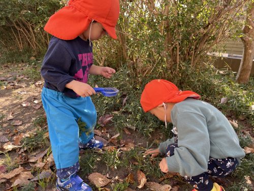 秋晴れの戸外遊び?