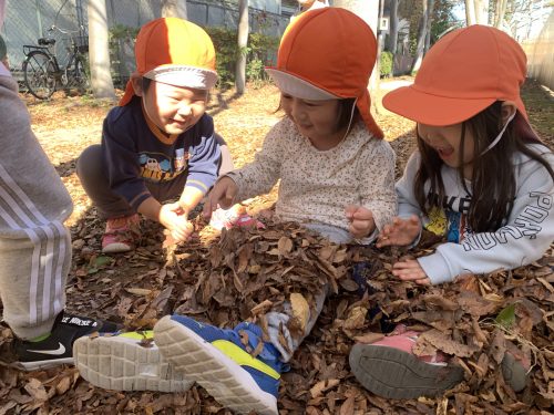 どんぐり探し♪