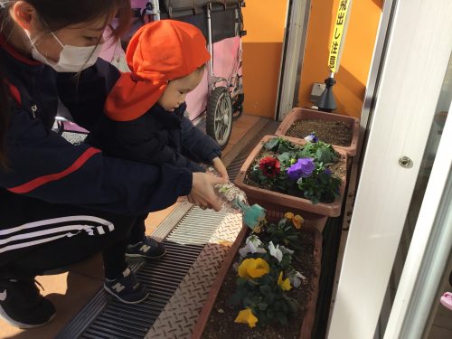 今週はこんなことをしたよ♪♪