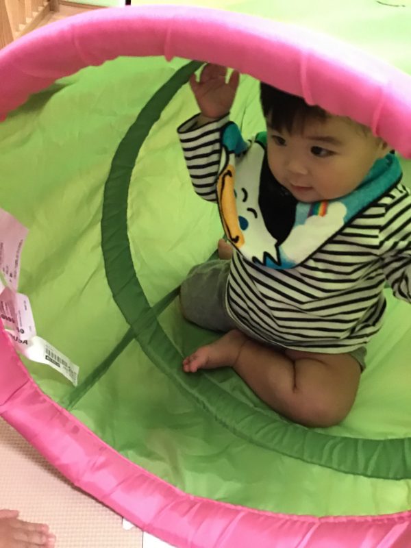 11月21日(土)の給食・おやつ