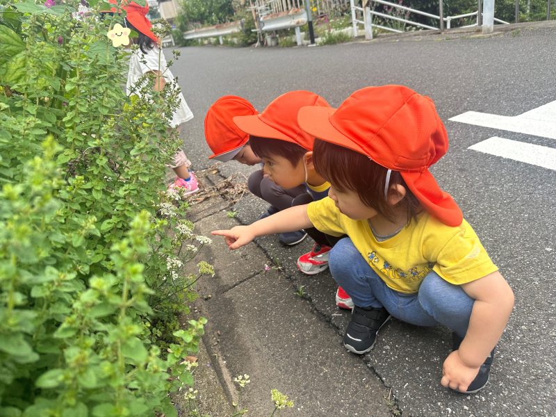 🌼懇談会&食育活動🏵️