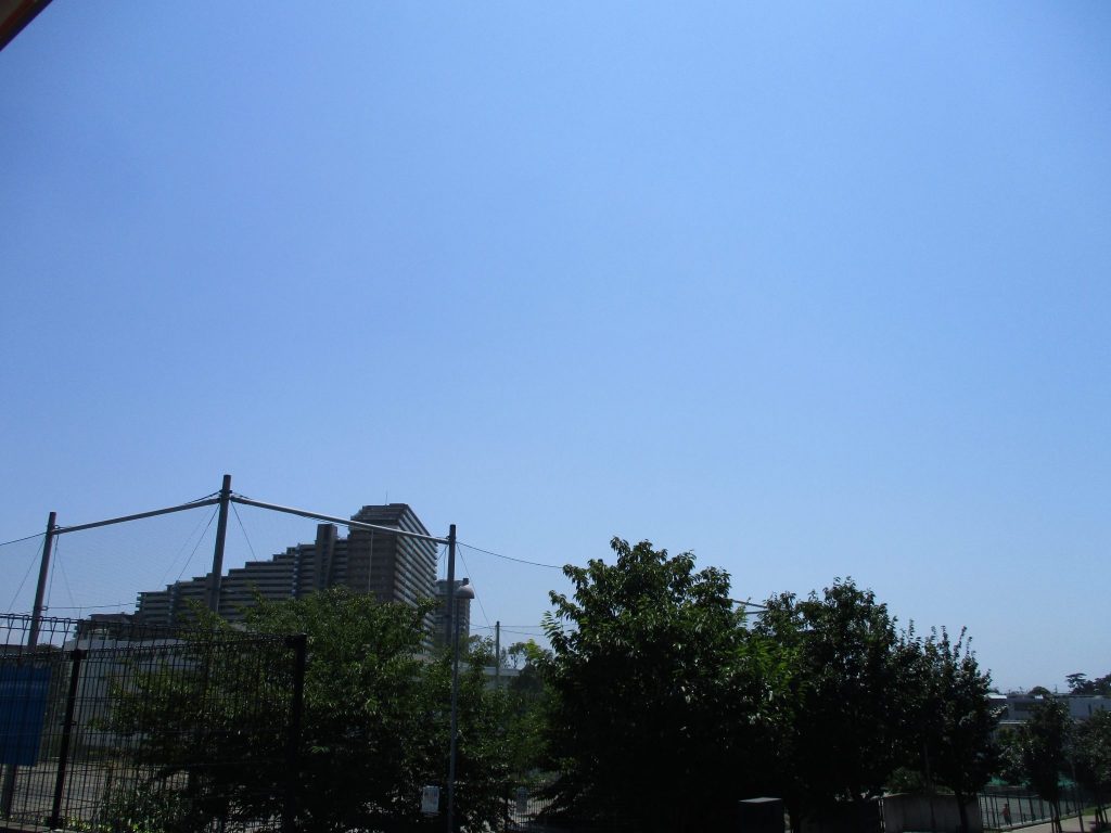 夏が止まらない