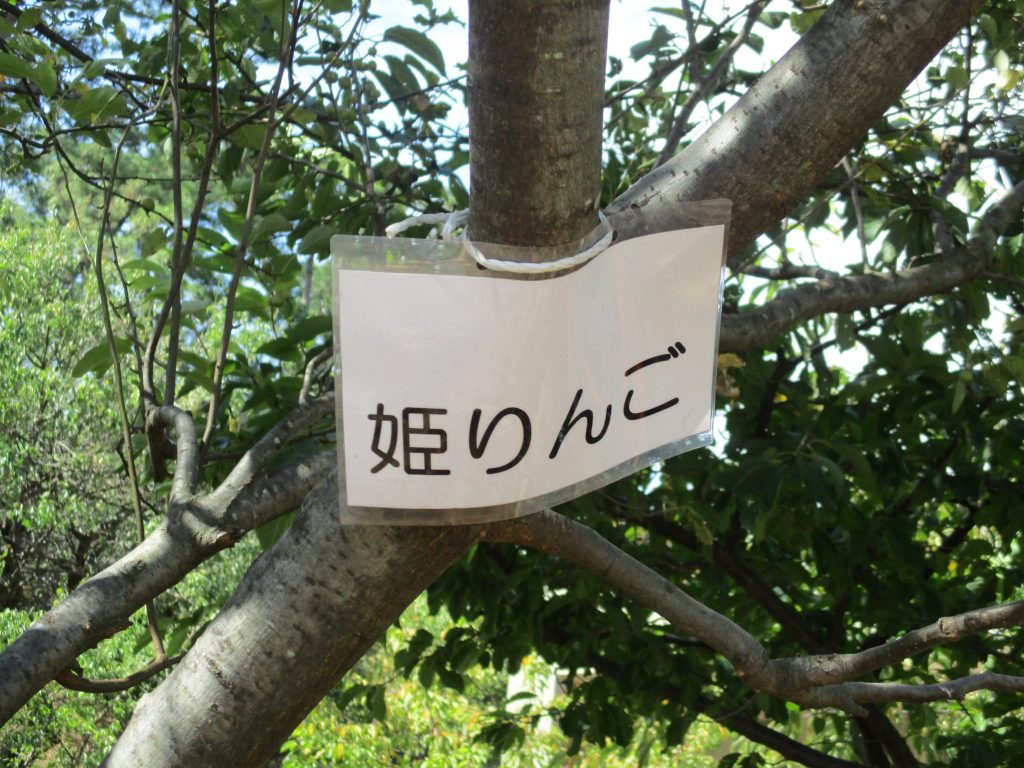 強かに乗り越えて