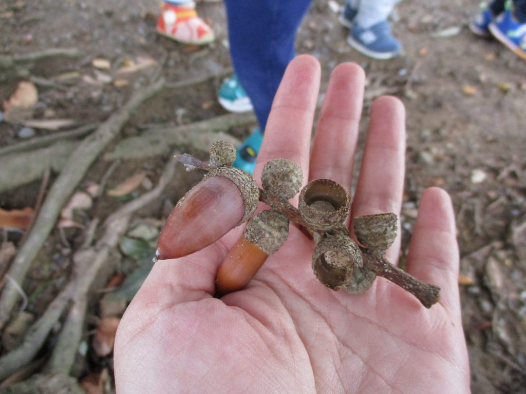 分かれての活動