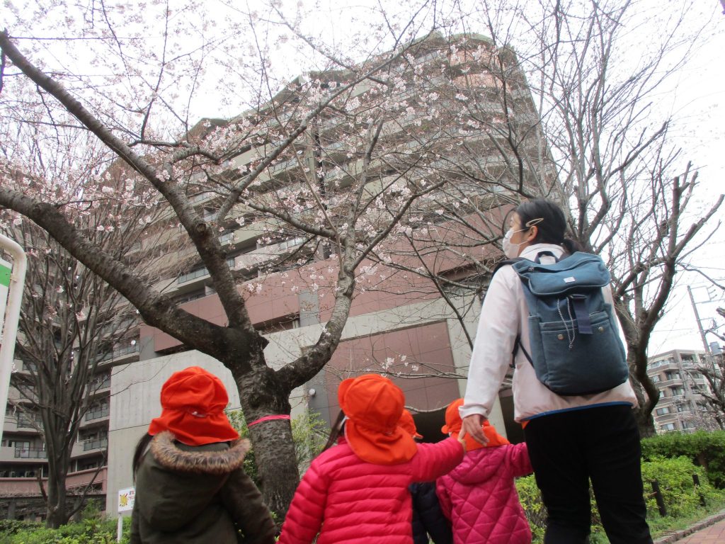 桜舞い散る中に