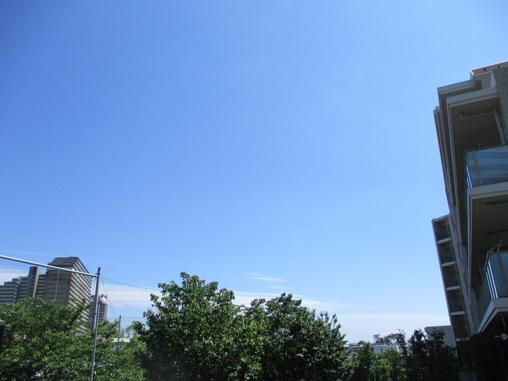 日常を取り戻せ