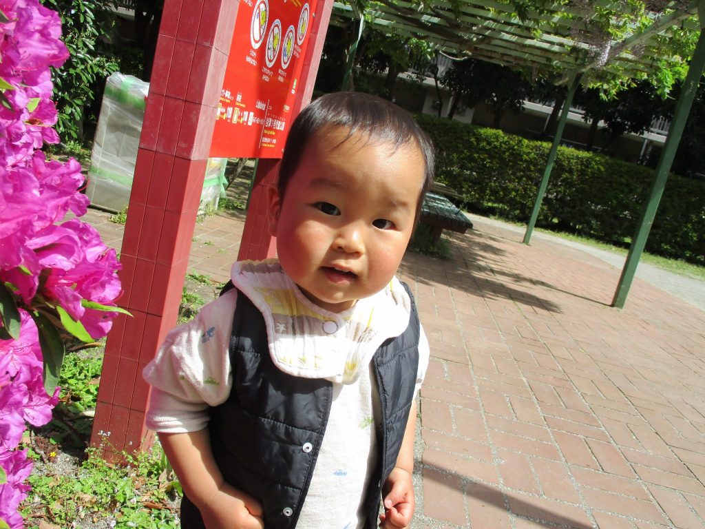 庄司ヶ池？どこにもないけど、、、