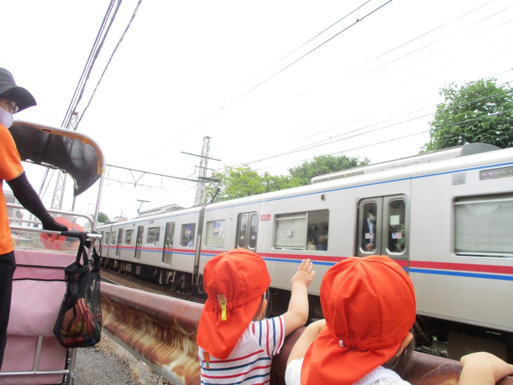 虫探し時代到来