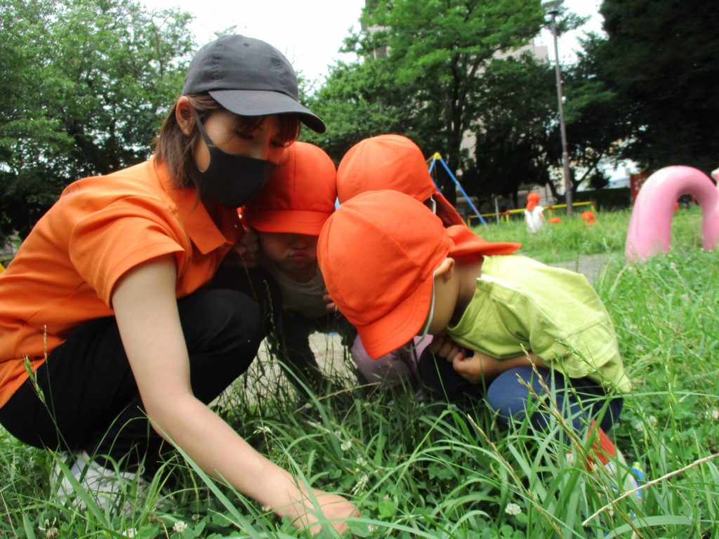 「4分の1」と「2分の1」