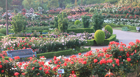 習志野市　子どもとお出かけスポット